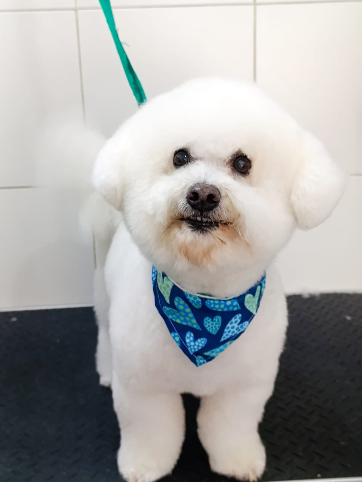 Trabajo de peluquería 38