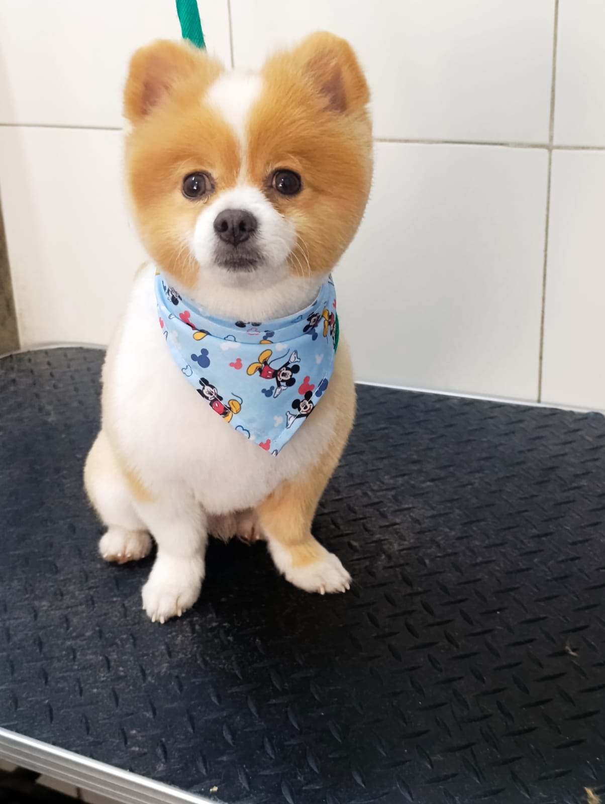 Trabajo de peluquería 41