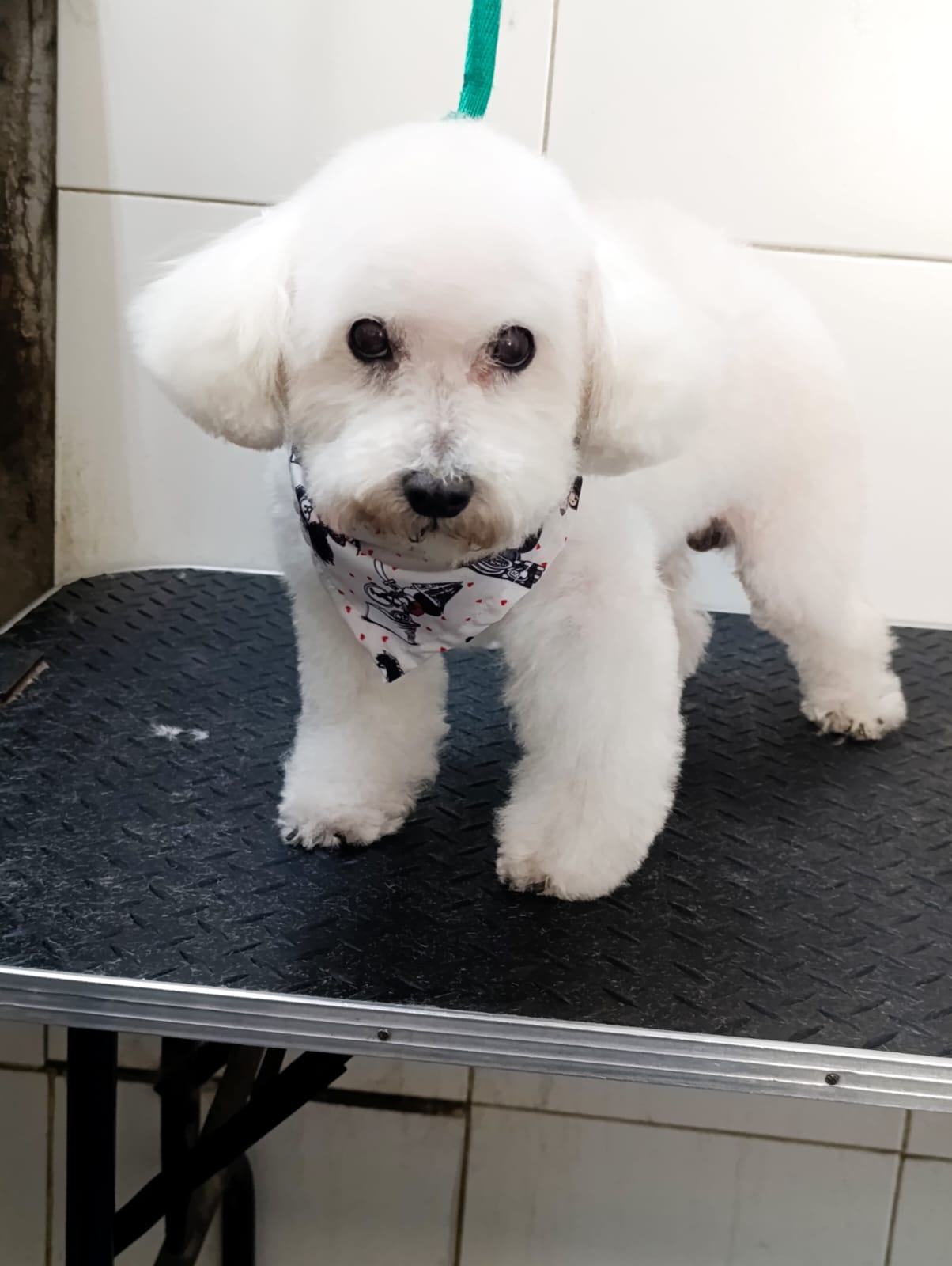 Trabajo de peluquería 43