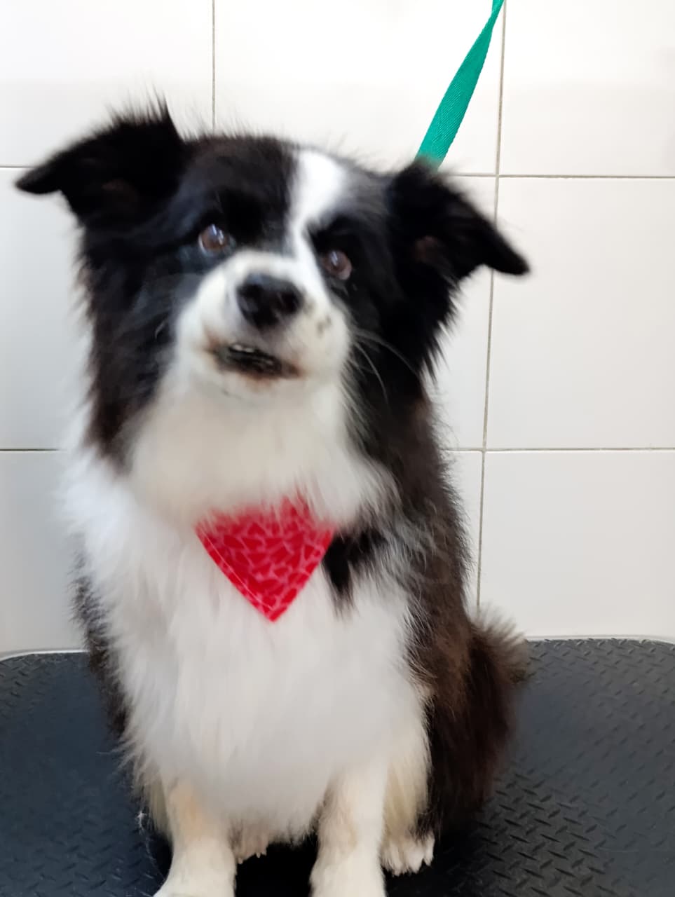 Trabajo de peluquería 48