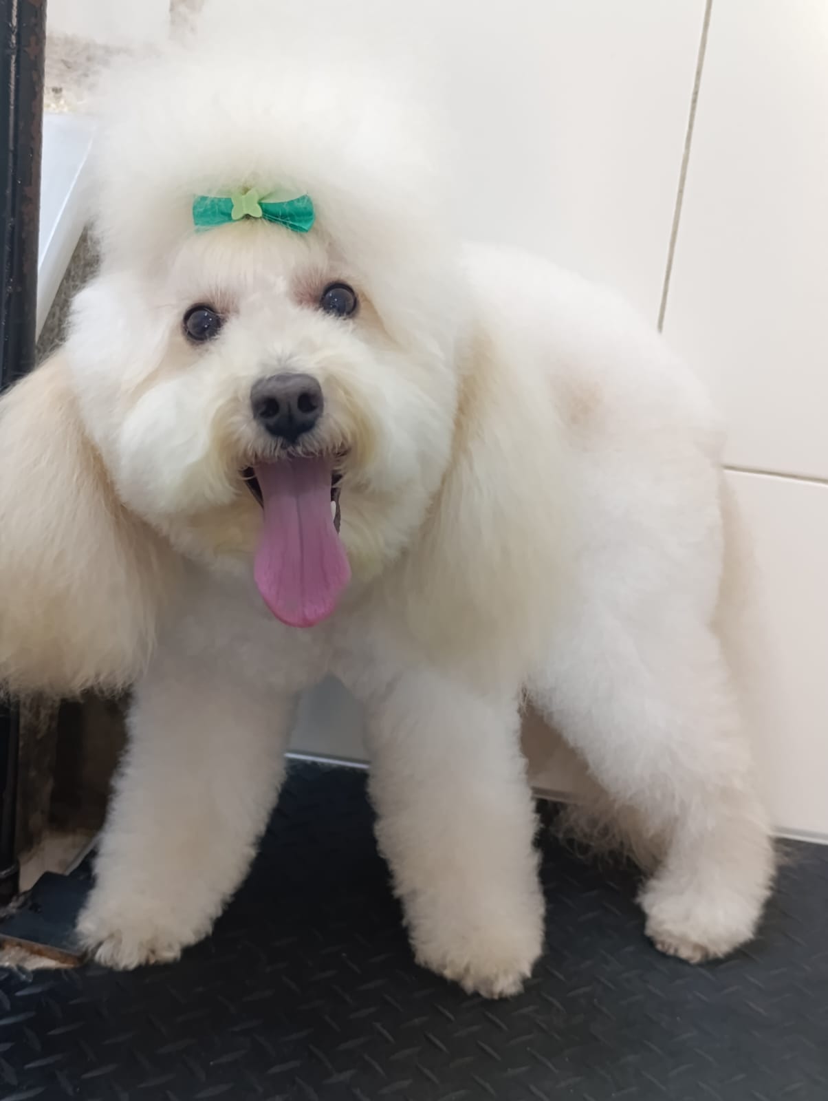 Trabajo de peluquería 51